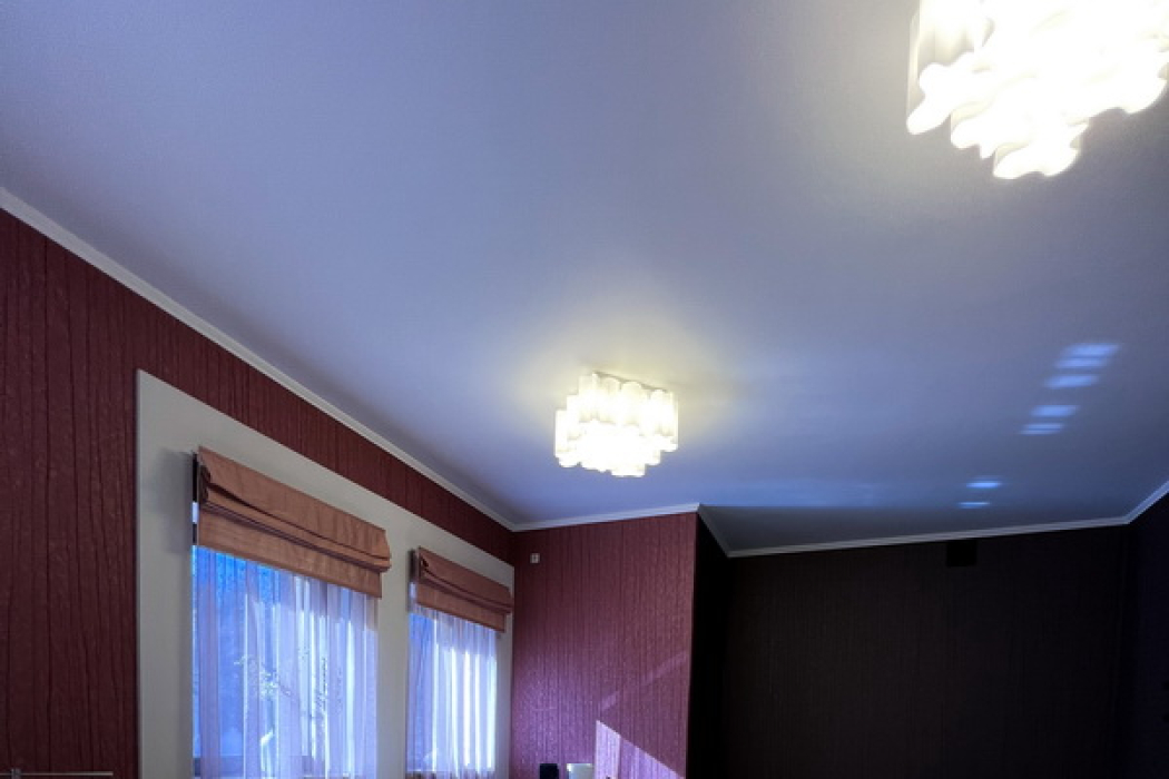 Будинок в Царичанці - Фото 11