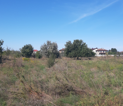 Участок в Юбилейном