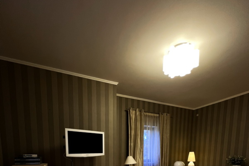 Будинок в Царичанці - Фото 5